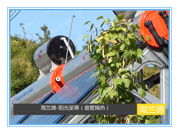 海蘭德-陽(yáng)光至尊(盤管換熱)